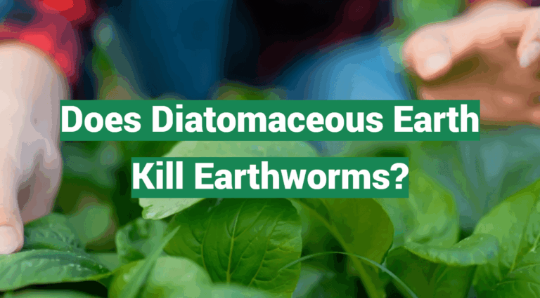 Does Diatomaceous Earth Kill Earthworms?
