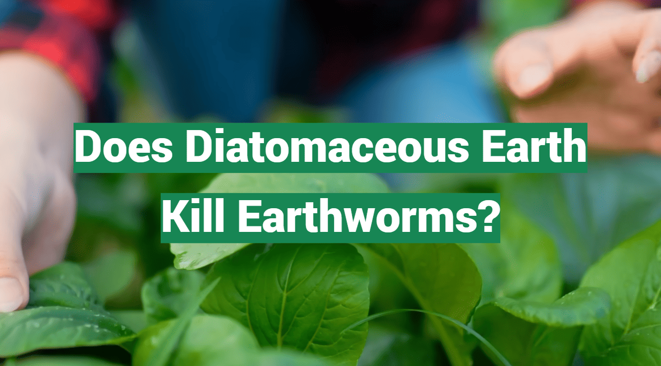 Does Diatomaceous Earth Kill Earthworms?