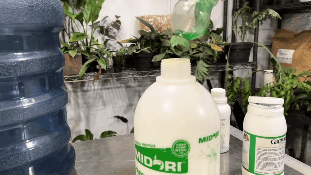 How Do You Wash Neem Oil Off Plants?