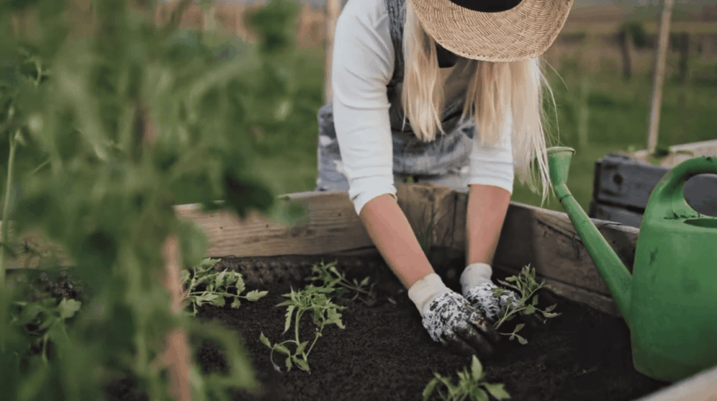 What to Lay on the Floor of the Upper Raised Bed?