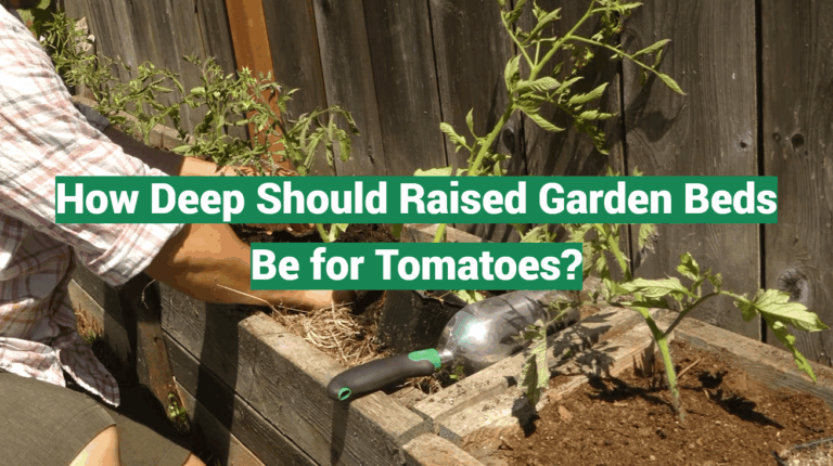 How Deep Should Raised Garden Beds Be for Tomatoes?