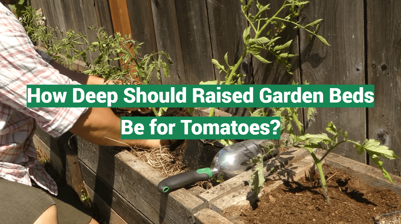 How Deep Should Raised Garden Beds Be for Tomatoes?