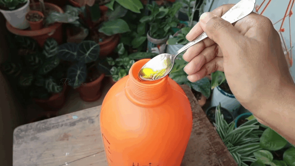 What Plants Should You Not Use Neem Oil On?